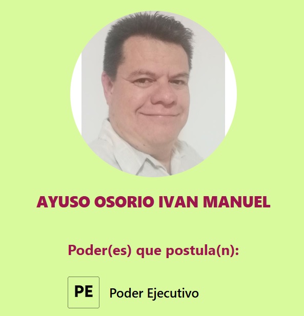 Fiscalización electoral en Quintana Roo: el INE revoca triunfo de juez penal electo, Iván Manuel Ayuso Osorio, por no presentar informe de gastos.