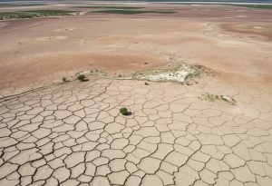 Un cuerpo de agua de Quintana Roo con el nivel bajo, simbolizando la sequía en Quintana Roo.