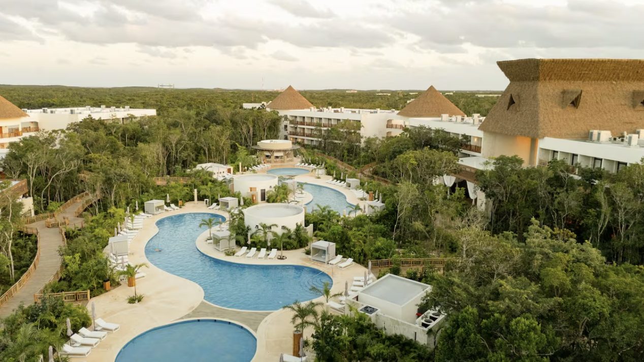 Sanidad en Tulum: el Hotel Mundo Maya de la Sedena opera con normalidad. Erradicaron una plaga de escarabajo barrenador detectada en octubre de 2024.