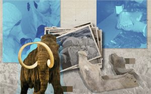 Paleontología en México: un estudio de mamuts de Santa Lucía, de 20,000 años de antigüedad, revela un linaje único.