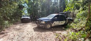 La presidenta Claudia Sheinbaum lidera la conferencia matutina donde se presentaron los resultados en seguridad.