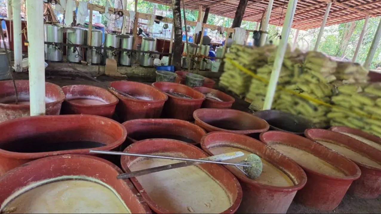 Elementos de seguridad federal aseguraron el laboratorio clandestino de metanfetaminas.