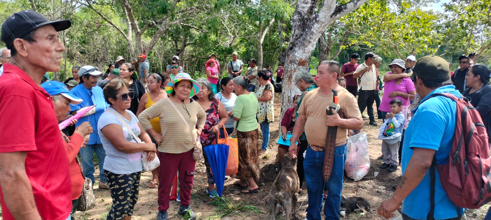 La tenencia de la tierra en Quintana Roo genera un conflicto en Cancún. Más de 5,000 familias de la colonia Chiapaneca en riesgo de desalojo.