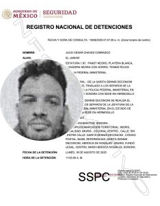 Julio César Chávez Jr. durante una pelea de box.