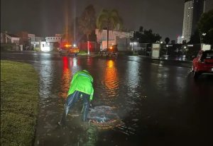 Elementos de Protección Civil de Querétaro resguardan el área tras el hallazgo de los cuerpos.