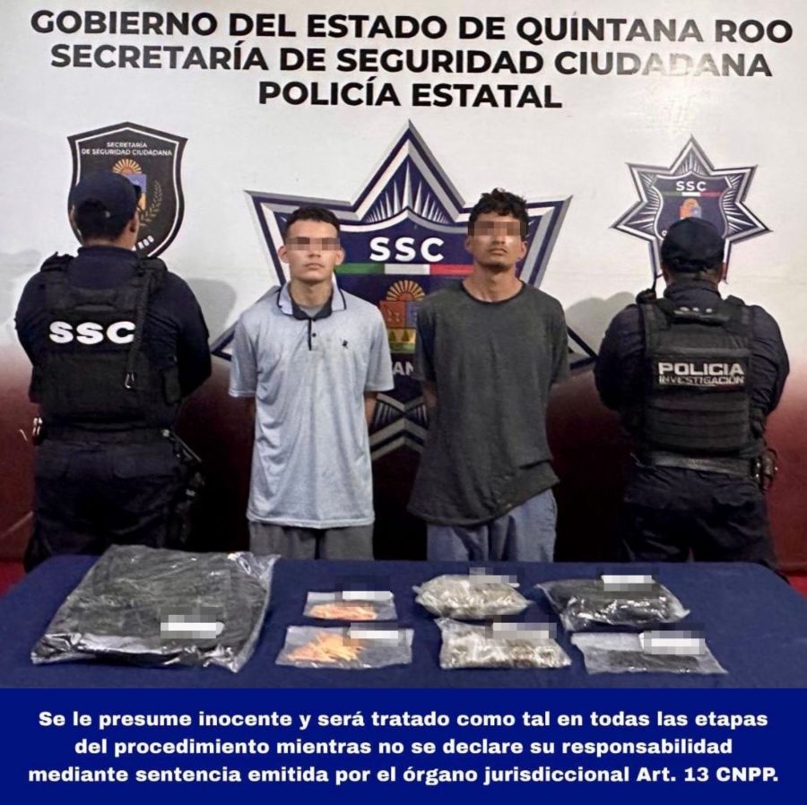 Las bolsas de plástico con vegetal seco incautadas a los presuntos narcomenudistas.