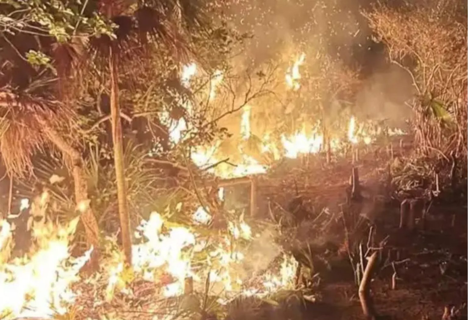 Organizaciones exigen sanciones por el incendio en Holbox que consumió 670 hectáreas. El fuego afectó la reserva Yum Balam.
