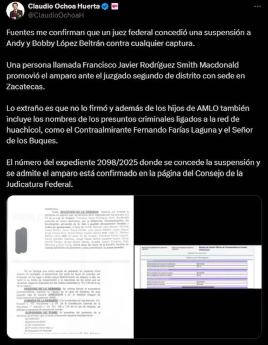 Un juez federal concedió un amparo hijos AMLO, Andrés y Gonzalo López Beltrán, contra cualquier orden de aprehensión.