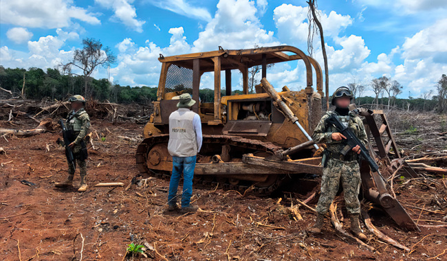 Maquinaria pesada asegurada en los operativos contra la tala ilegal en la región.