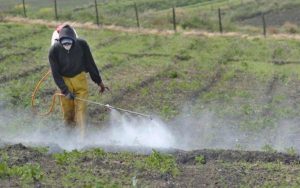 El secretario de Agricultura, Julio Berdegué, explica los detalles del nuevo decreto.