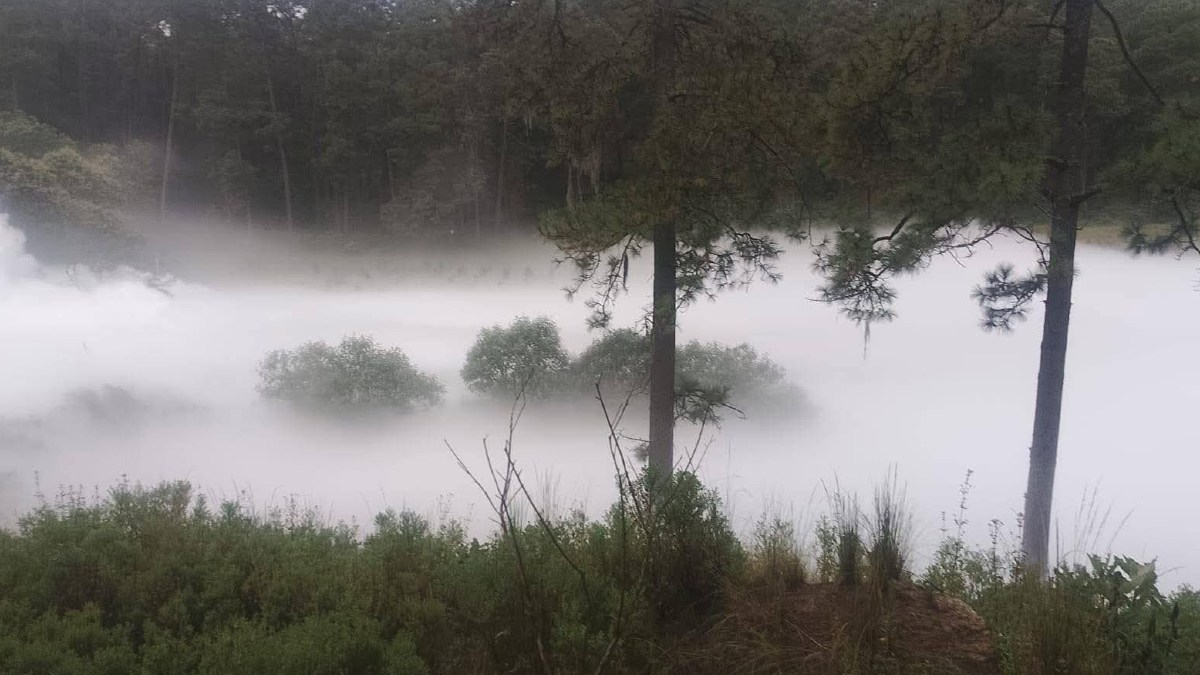Autoridades federales y estatales responden a una fuga de gas en Tlaxcala. La emergencia ha obligado a evacuar a miles de personas de la zona boscosa.