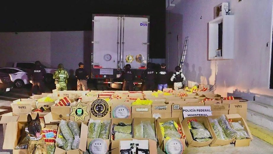 Yucatán ha registrado más de cinco veces el aseguramiento de drogas que Quintana Roo, lo que genera preocupación en la población.