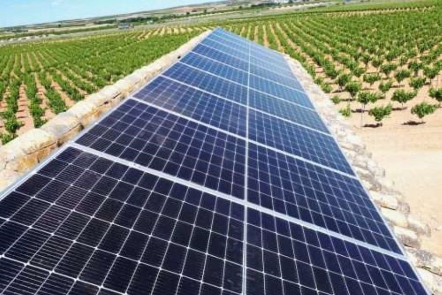 Conagua instaló más de 190 sistemas de paneles solares para la agricultura en zonas rurales de Quintana Roo.