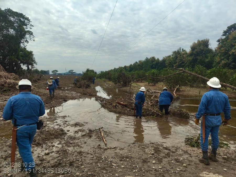 Servidores de la Nación realizan el censo de daños casa por casa en los estados afectados.