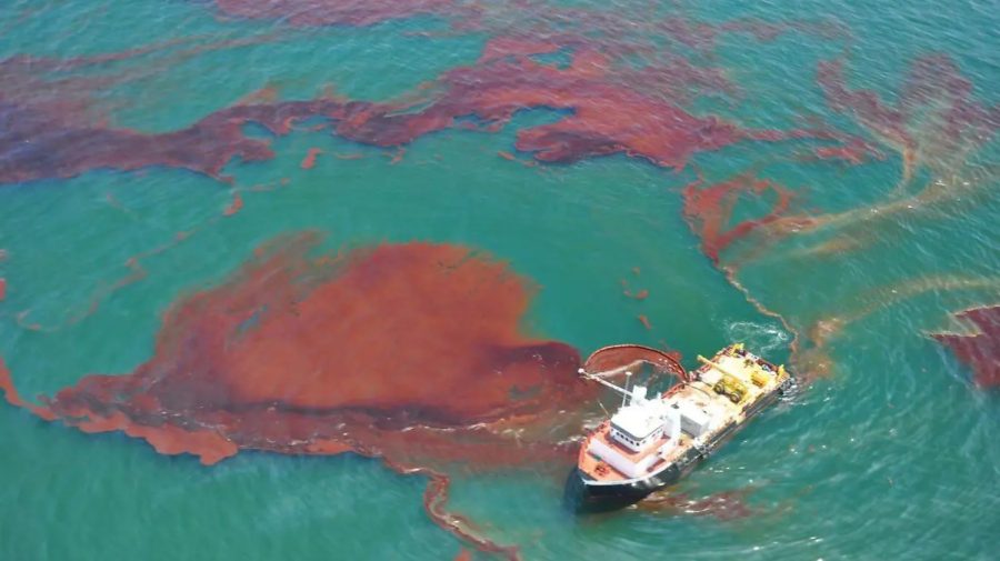 Nancy Gocher, directora de Políticas Públicas de Oceana, advierte sobre los peligros de la actividad en aguas profundas.