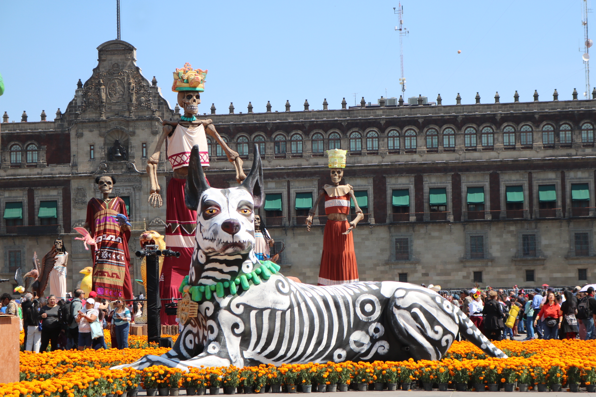 Un tradicional altar de muertos con múltiples niveles, decorado con flor de cempasúchil y veladoras.