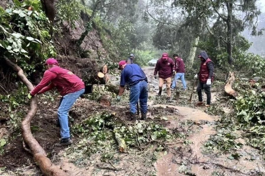 Campos anegados de maíz que muestran la severa afectación tras las lluvias torrenciales en la Sierra Norte de Puebla.