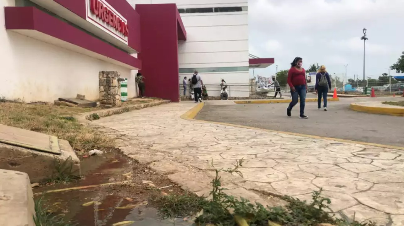 La Presidenta Sheinbaum ofreció detalles sobre la burocracia en los procesos de salud.
