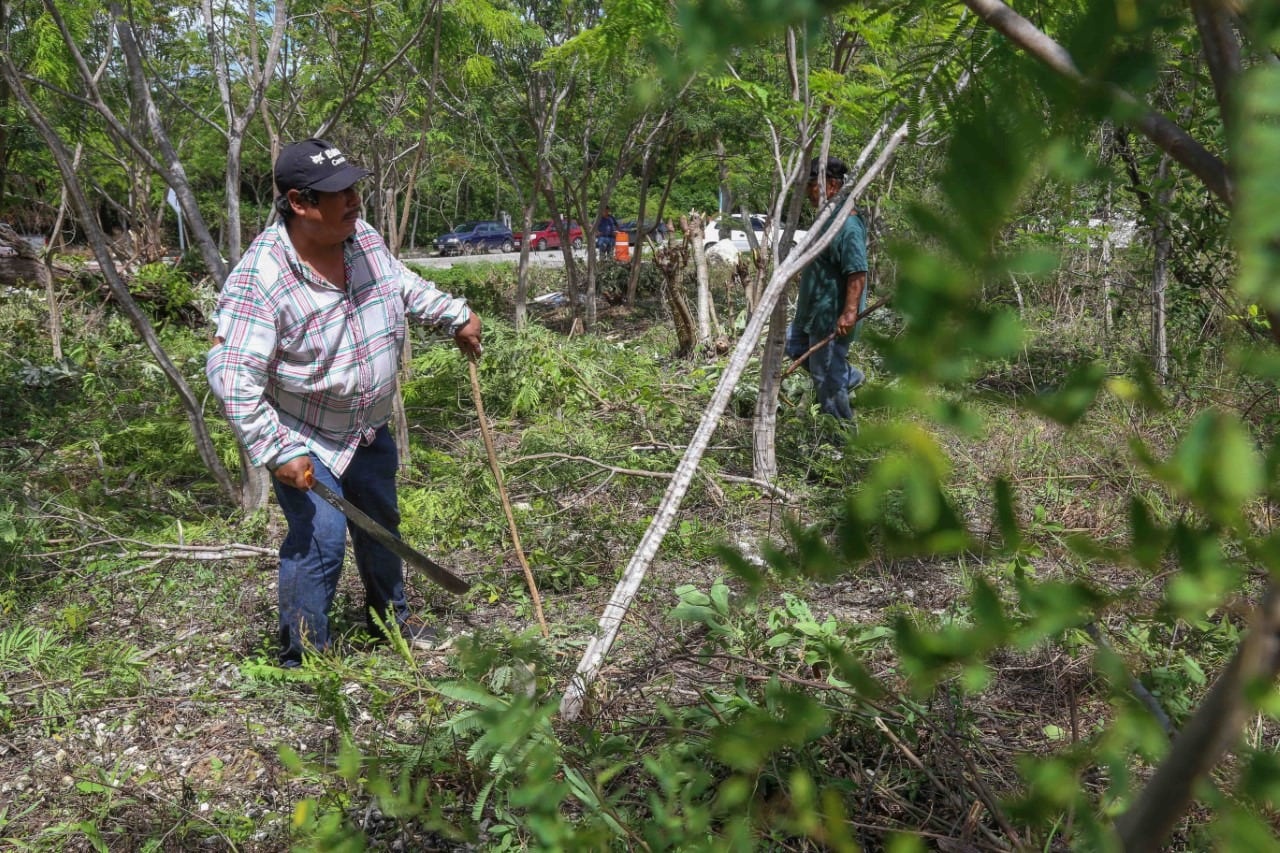 Los lotes baldíos enmontados se han convertido en refugios de malvivientes.
