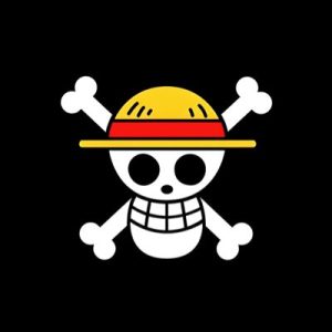 La Bandera de One Piece es un cráneo con sombrero de paja sobre dos huesos cruzados.