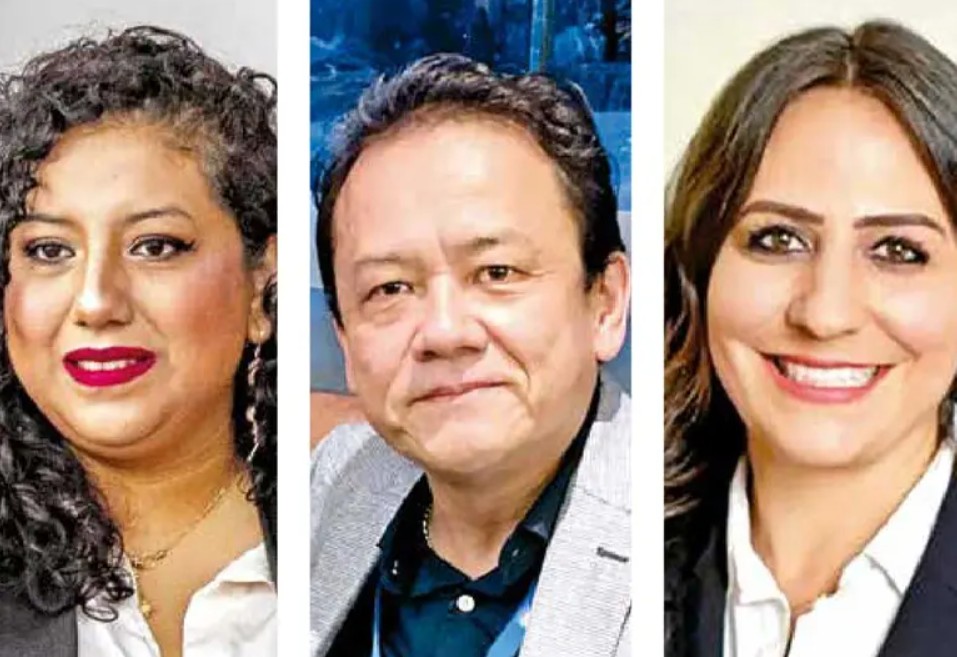 Integrantes del Comité de Participación Ciudadana durante una sesión previa a las recientes vacantes.