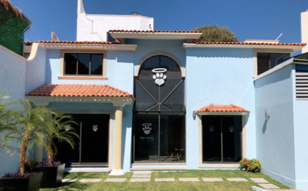 Alonso Fernández Lemen-Meyer, titular de la Procuraduría de Protección al Ambiente, instó a los municipios a transparentar sus censos de funerarias.