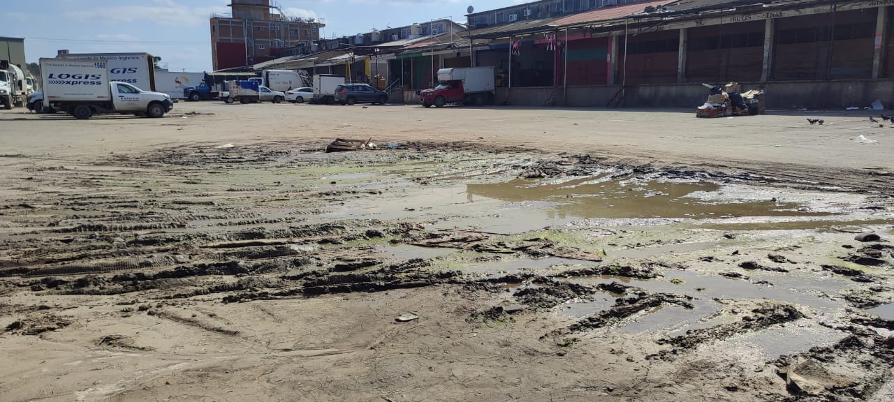 Las aguas residuales inundan los pasillos de la Central de Abastos de Poza Rica, generando un foco de infección para los locatarios.
