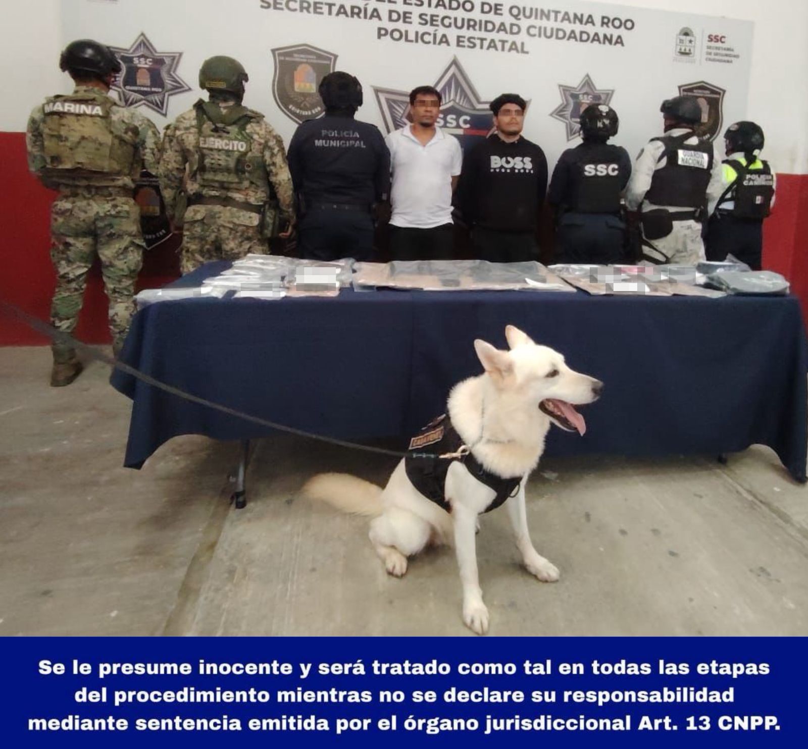 La detención contó con el apoyo operativo de diversas corporaciones de seguridad.