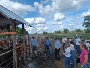 Jorge Aguilar Osorio, titular de la SEDARPE, impulsa acciones de sanidad en el hato ganadero.