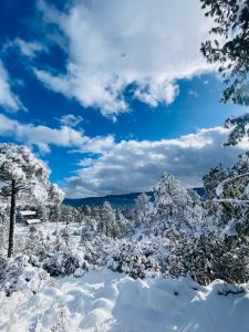 Los servicios de emergencia en Chihuahua realizan operativos de rescate en las zonas serranas debido a las fuertes nevadas y el hielo.