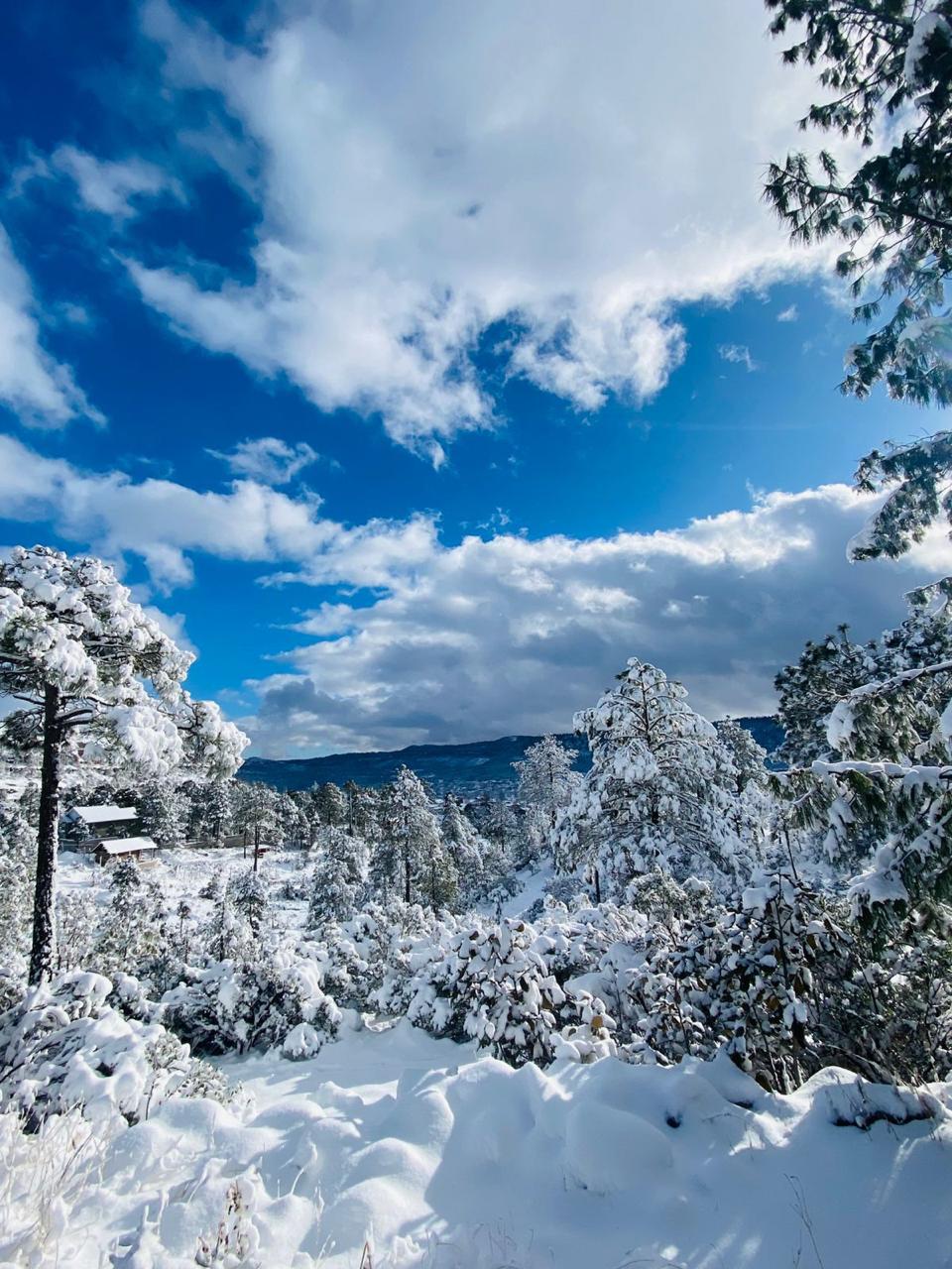 Los servicios de emergencia en Chihuahua realizan operativos de rescate en las zonas serranas debido a las fuertes nevadas y el hielo.