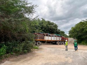El Juzgado Sexto de Distrito determinó suspender cualquier obra que ponga en riesgo la estabilidad ecológica de la costa de Mahahual.