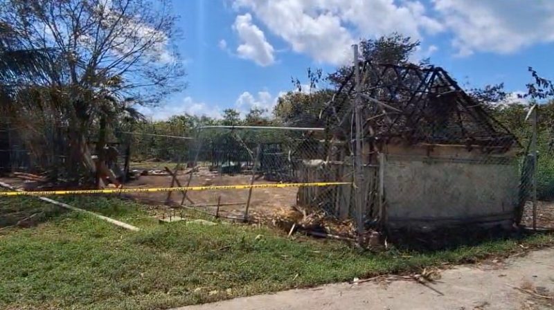 La selva de Chen Zubul es considerada la última barrera natural que protege la costa frente a la erosión en Solidaridad.