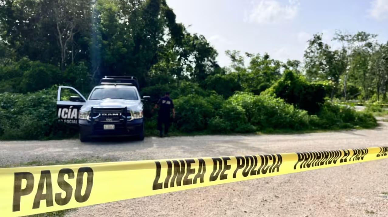 La titular del SESNSP, Marcela Figueroa, presentó las gráficas que avalan la reducción de la violencia letal en el territorio mexicano.