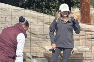 La exdirectora del INVI, Fernanda "N", enfrenta cargos por uso indebido de atribuciones y facultades tras la investigación estatal.