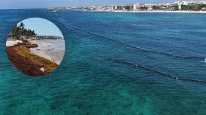 Personal de la Secretaría de Marina y brigadistas de Zofemat coordinan el anclaje de las barreras protectoras en la zona del muelle fiscal.