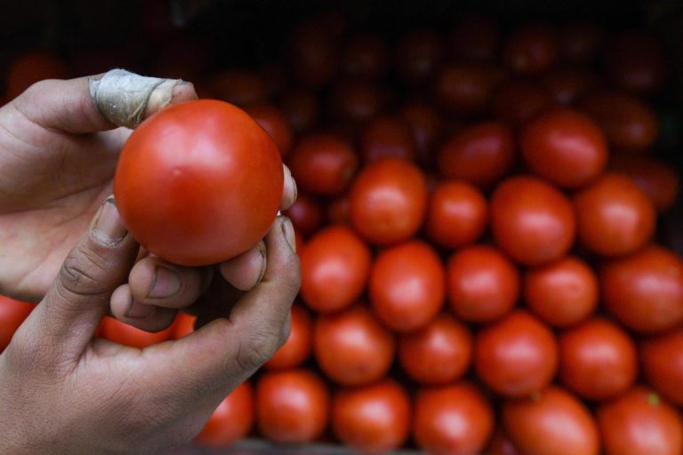 El incremento en el precio del jitomate y otros alimentos básicos impulsó la inflación anual a un nivel de 4.59 por ciento.