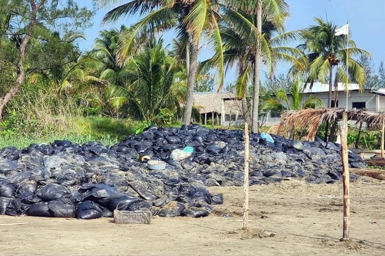 Cientos de bolsas con restos de hidrocarburos permanecen alineadas en la costa de Veracruz sin ser trasladadas a un centro de acopio especializado.