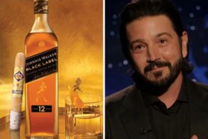 El actor Diego Luna logró una victoria jurídica definitiva tras 14 años de litigio por el uso indebido de su imagen personal.