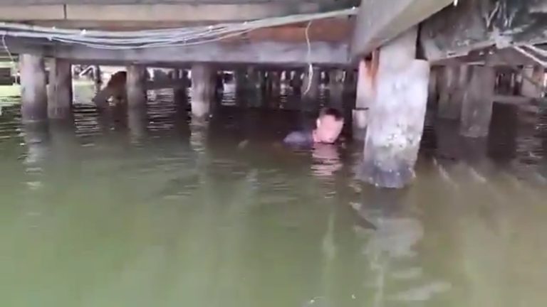 El operativo de emergencia se concentró en el kilómetro 14 del bulevar Kukulcán tras el reporte de una persona herida.