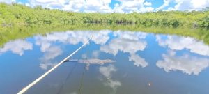 La gobernadora Mara Lezama alertó sobre estafas en Akumal y Tulum donde ofrecen predios falsos a través de redes sociales.