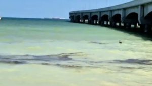 Personal técnico de Pemex concluyó las reparaciones para detener la fuga de hidrocarburo detectada en el viaducto antiguo de Progreso.