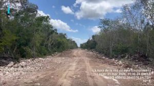 Imágenes aéreas muestran la apertura de brechas sobre la zona de cuevas inundadas en el municipio de Tulum.