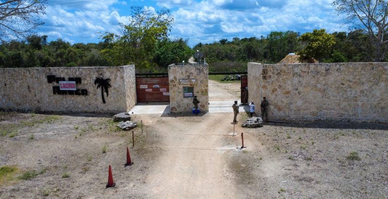 Elementos de la Marina y la Fiscalía estatal resguardan el predio tras detectar la falta de permisos ambientales.