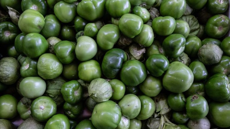 Los mercados internacionales de granos muestran una tendencia alcista que afecta directamente el precio del pan y las tortillas.