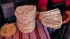 El precio del kilo de tortilla subirá hasta 4 pesos en México este 15 de abril