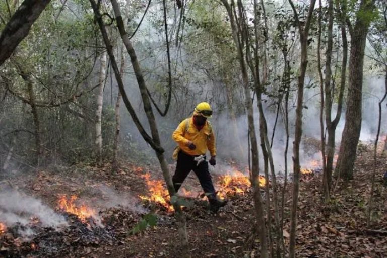 El cuerpo de Bomberos de Benito Juárez monitorea constantemente las zonas críticas para mitigar los incendios en áreas verdes de la periferia.