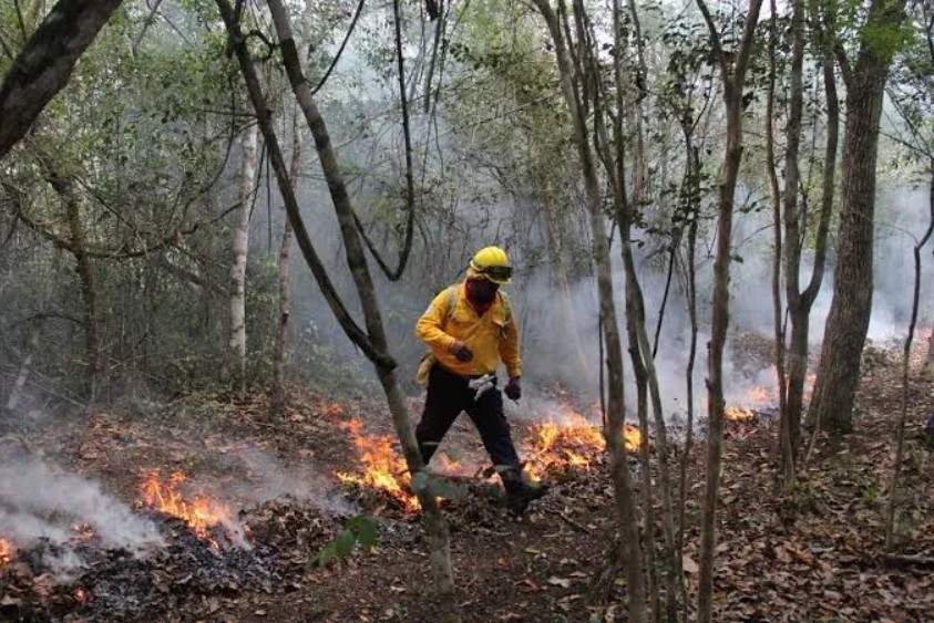 El cuerpo de Bomberos de Benito Juárez monitorea constantemente las zonas críticas para mitigar los incendios en áreas verdes de la periferia.