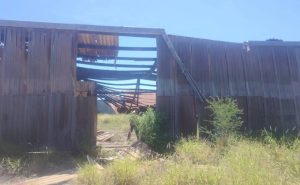 Colectivo de búsqueda localiza nuevo campo de extermino en Tamaulipas