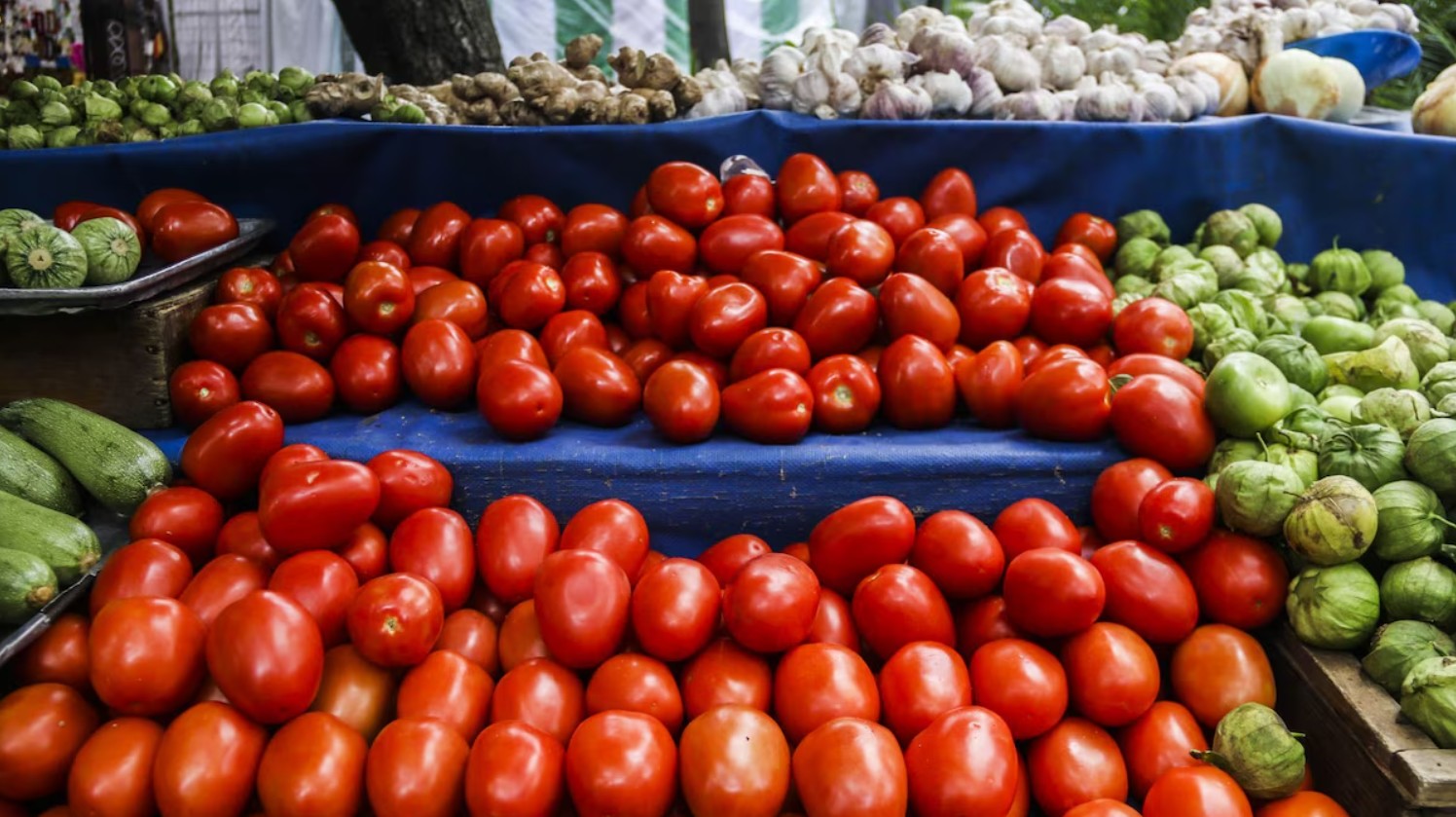 Productores señalan que las plagas y la falta de frío durante el invierno pasado dañaron seriamente la calidad de las cosechas actuales.